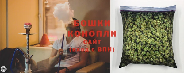 Альфа ПВП Бородино