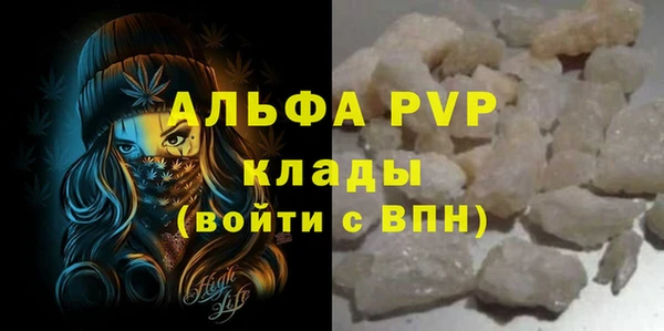 Альфа ПВП Бородино