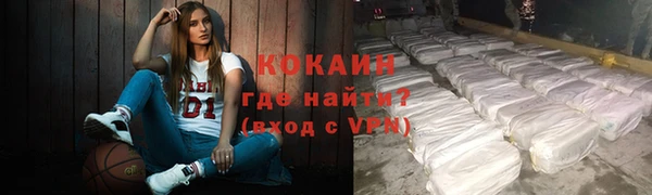 Альфа ПВП Бородино