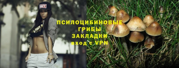 шишки Бронницы